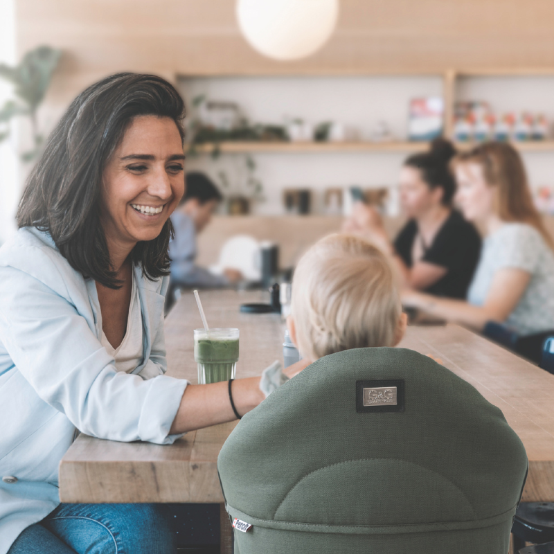 Perch Hanging High Chair