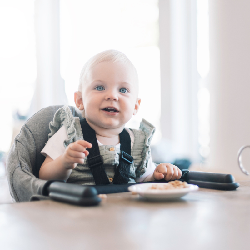 Perch Hanging High Chair