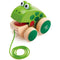 Pull-Along Toy Frog
