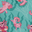 Axolotl