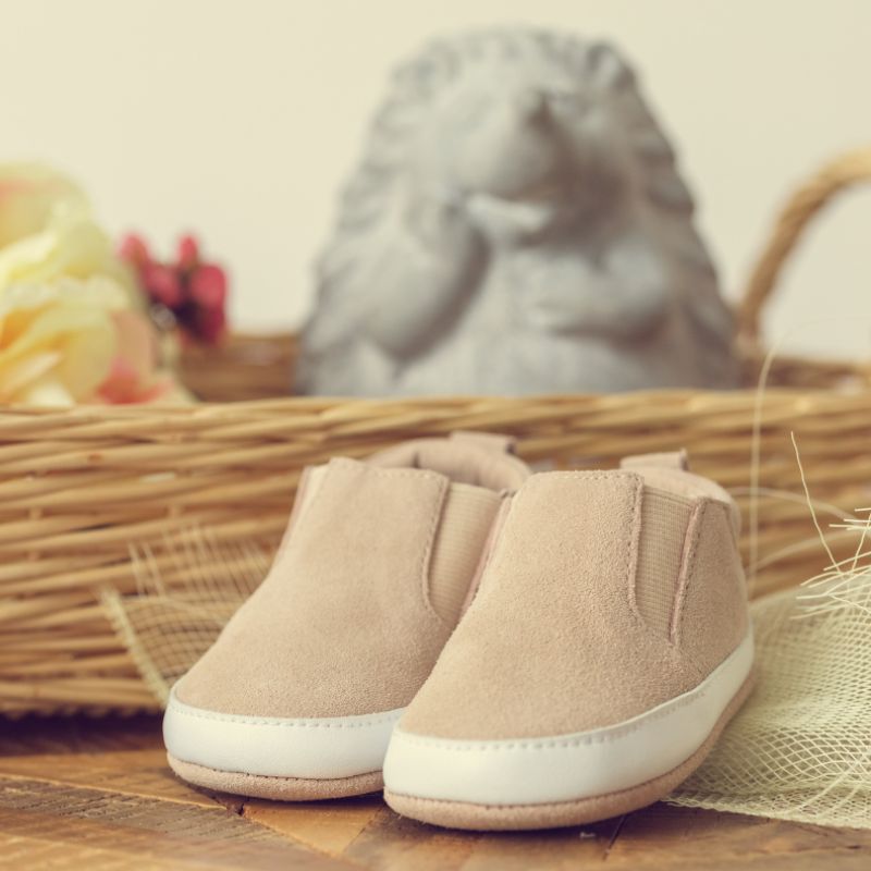 The Ollie Shoe Biscuit