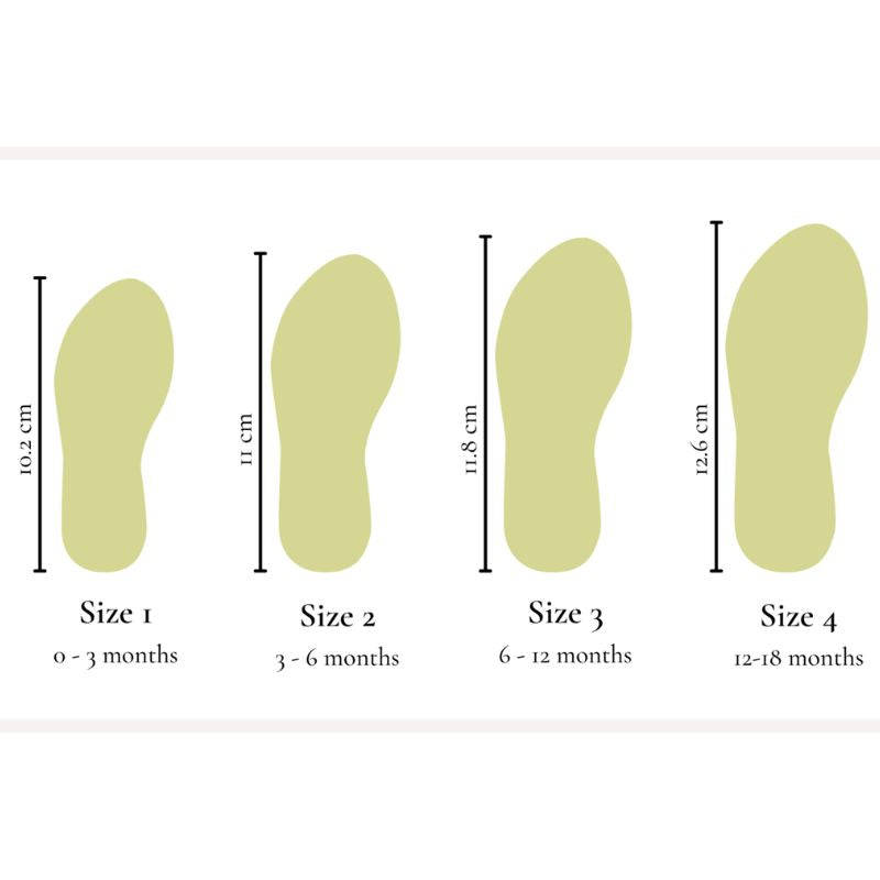 The Hoppy Shoe Rose