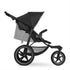 Runner 2 Jogging Stroller