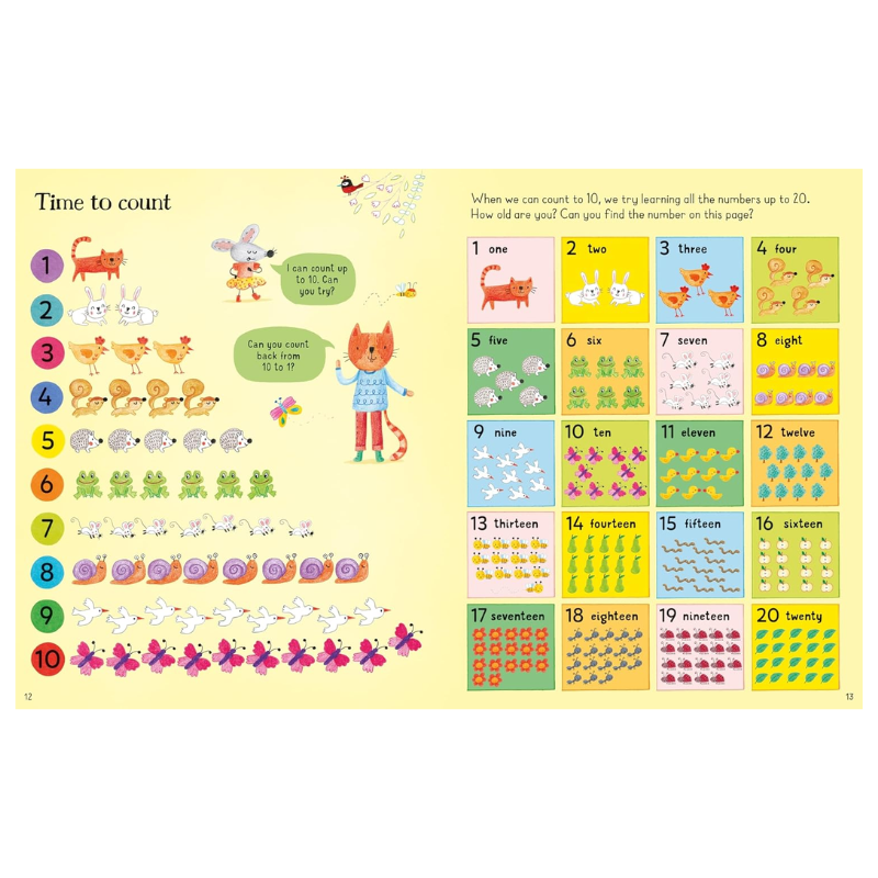 All You Need to Know About Going to School Book