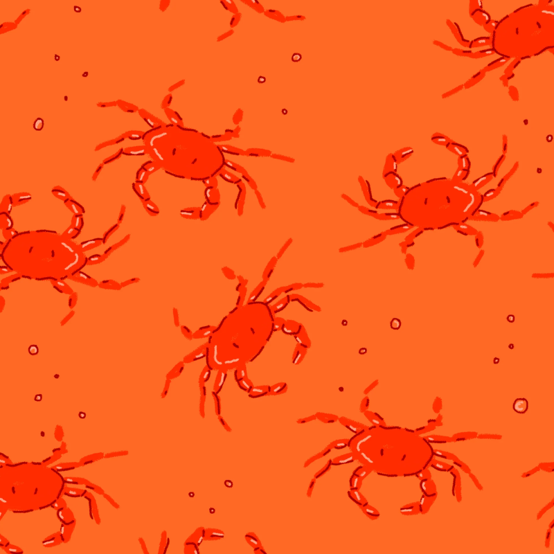 Full Coverage Sunsuit