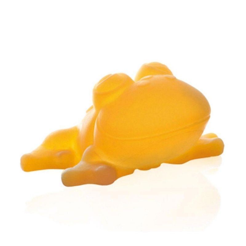 Bath Toy - Fred The Frog