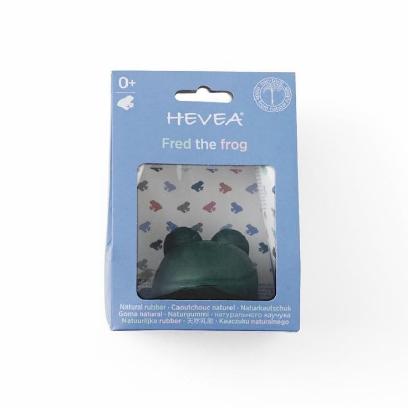 Bath Toy - Fred The Frog Green
