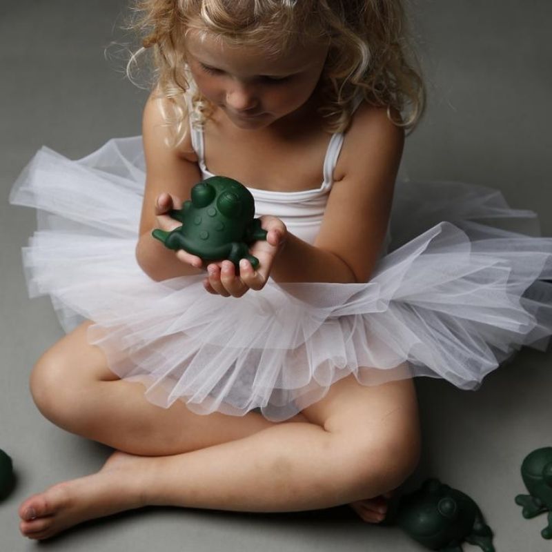 Bath Toy - Fred The Frog