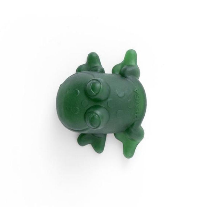 Bath Toy - Fred The Frog Green