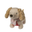 Dachshund