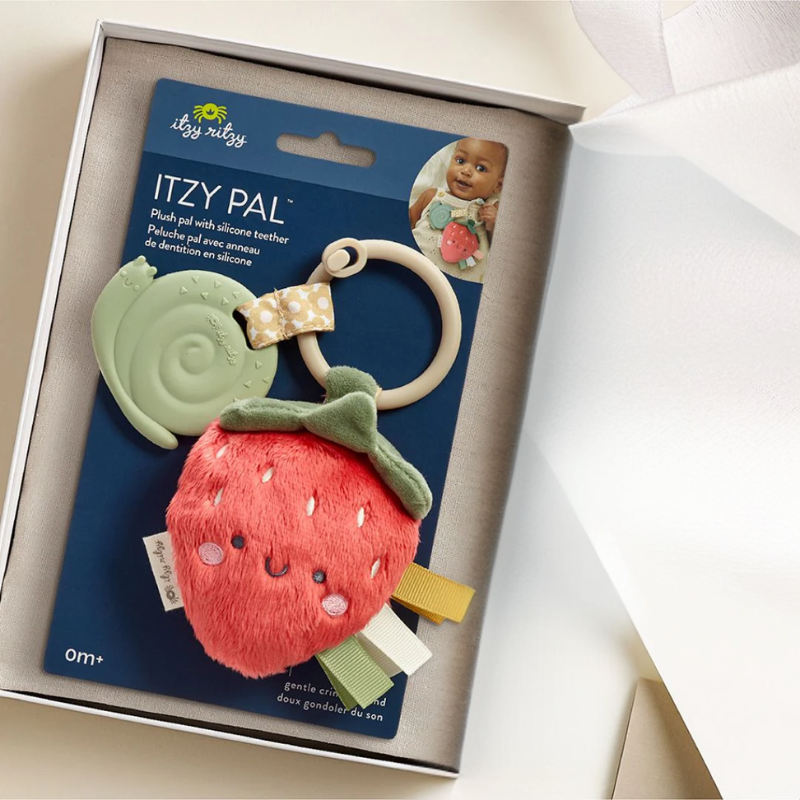 Itzy Pal Infant Toy