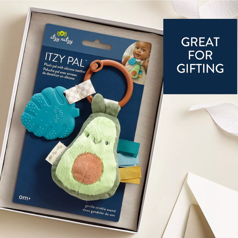 Itzy Pal Infant Toy