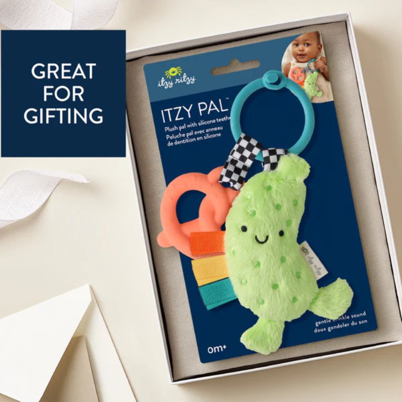 Itzy Pal Infant Toy