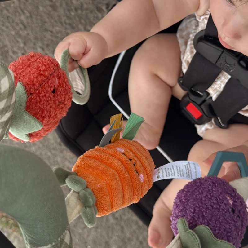 Car Seat Activity Toy - Spiral
