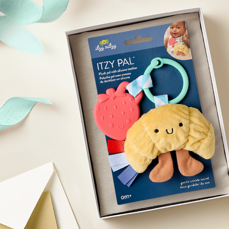 Itzy Pal Infant Toy