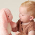 Sweetie Snuggles Plush Toy