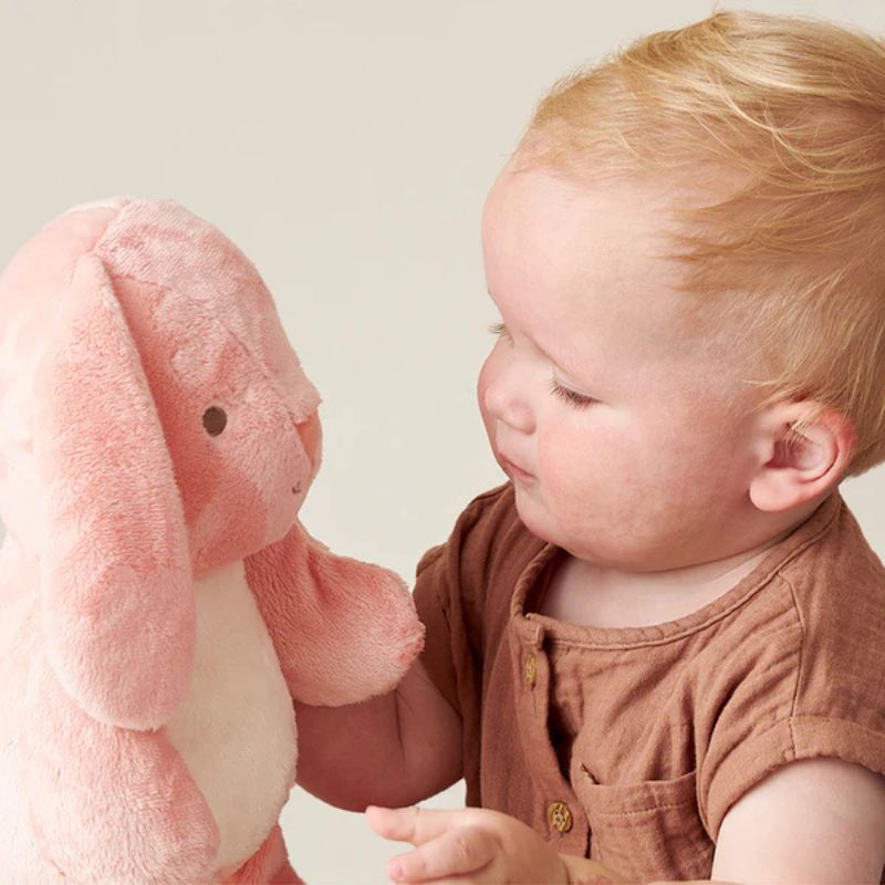 Sweetie Snuggles Plush Toy