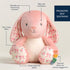 Sweetie Snuggles Plush Toy
