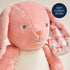 Sweetie Snuggles Plush Toy