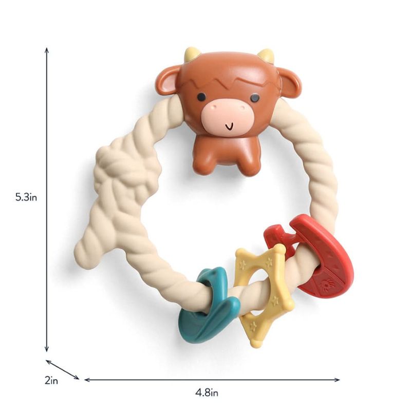 Ritzy Rattle with Teething Rings