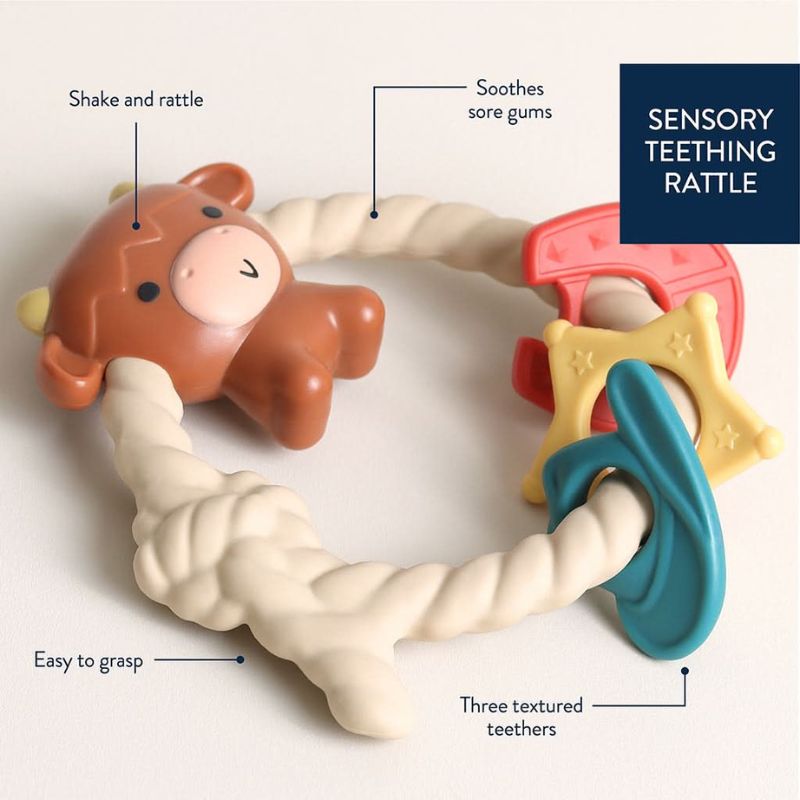 Ritzy Rattle with Teething Rings