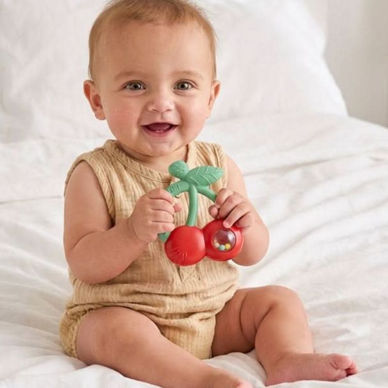Bitzy Shake Rattle and Teether