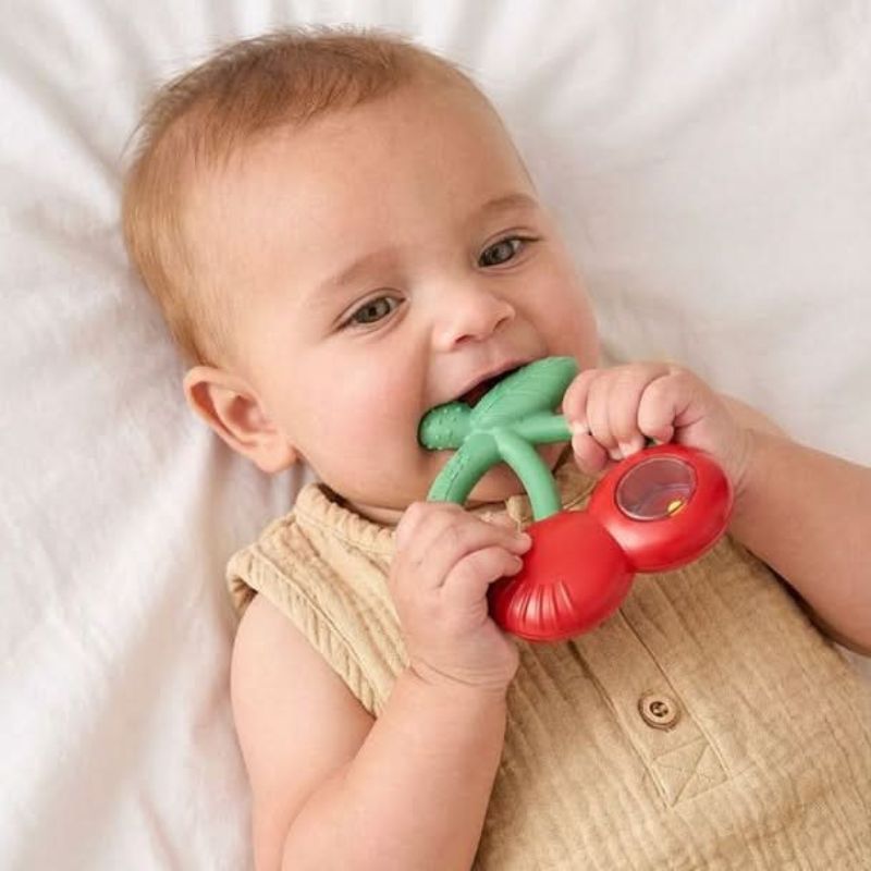 Bitzy Shake Rattle and Teether