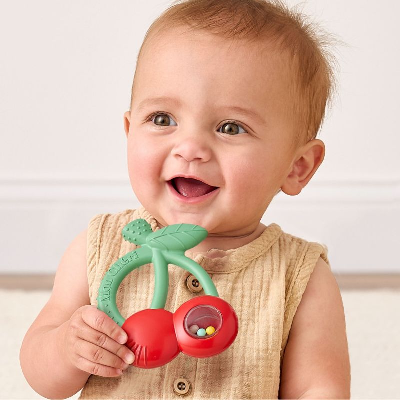 Bitzy Shake Rattle and Teether