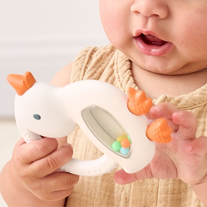 Bitzy Shake Rattle and Teether