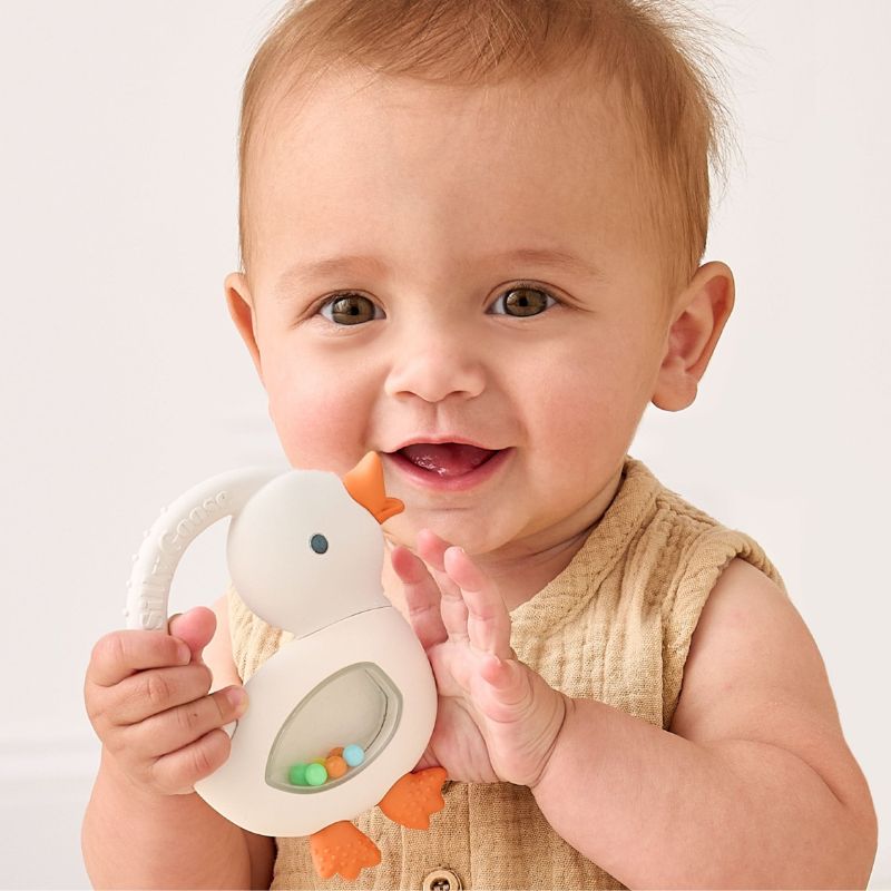 Bitzy Shake Rattle and Teether