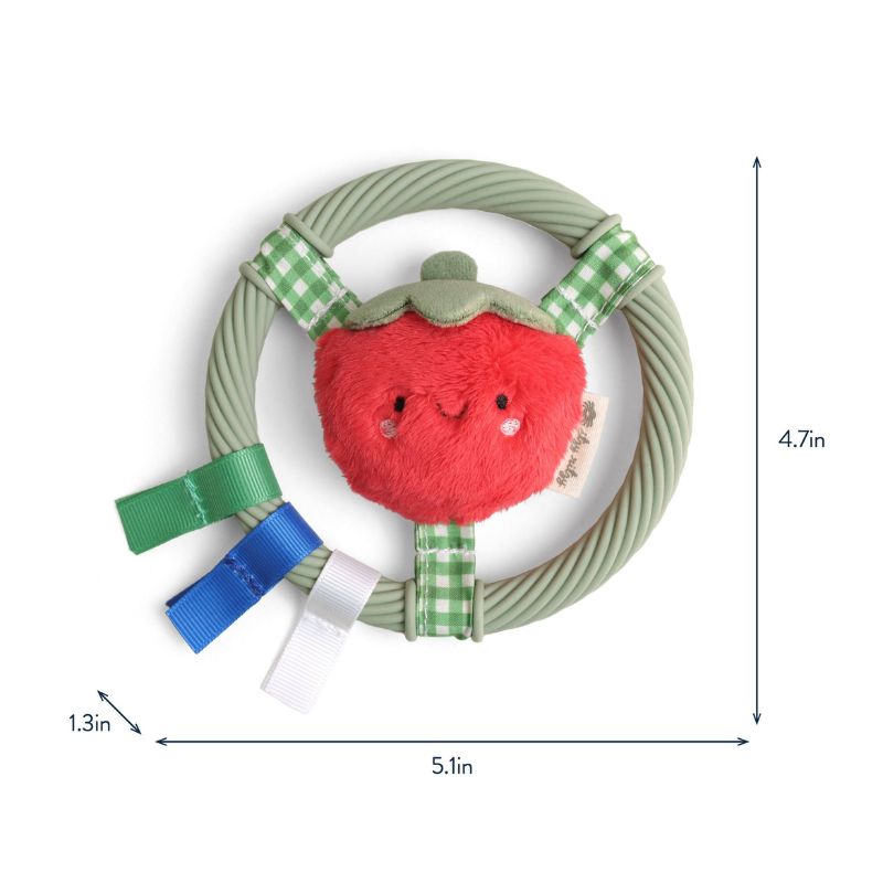Itzy Ring Pal Teether