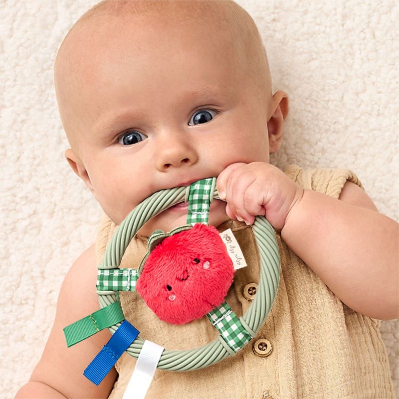 Itzy Ring Pal Teether