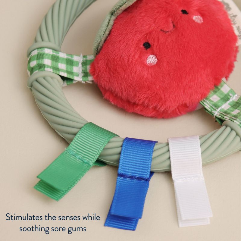 Itzy Ring Pal Teether