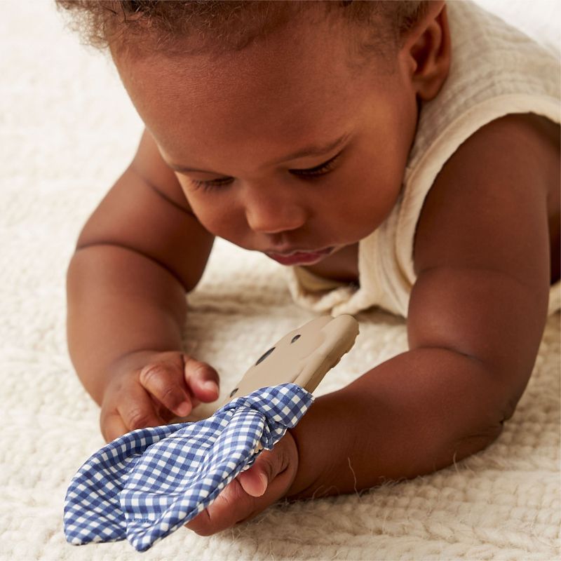 Crinkle Crew - Silicone Teether