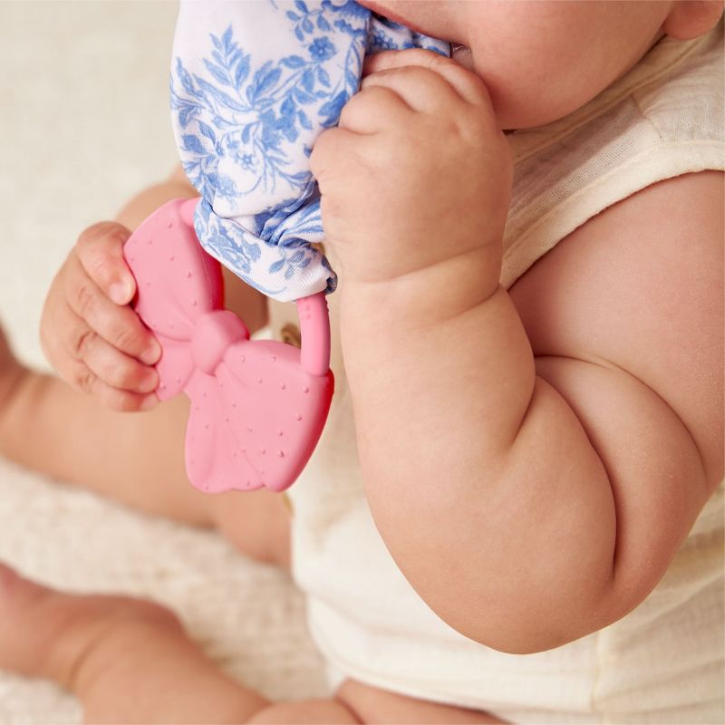 Crinkle Crew - Silicone Teether