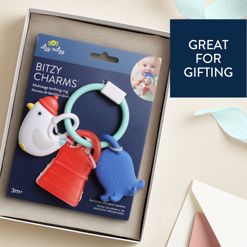 Bitzy Charms Teether