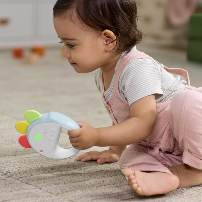 Farmstand Feelin' Clucky Musical Tambourine Baby Toy