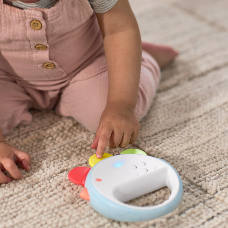 Farmstand Feelin' Clucky Musical Tambourine Baby Toy