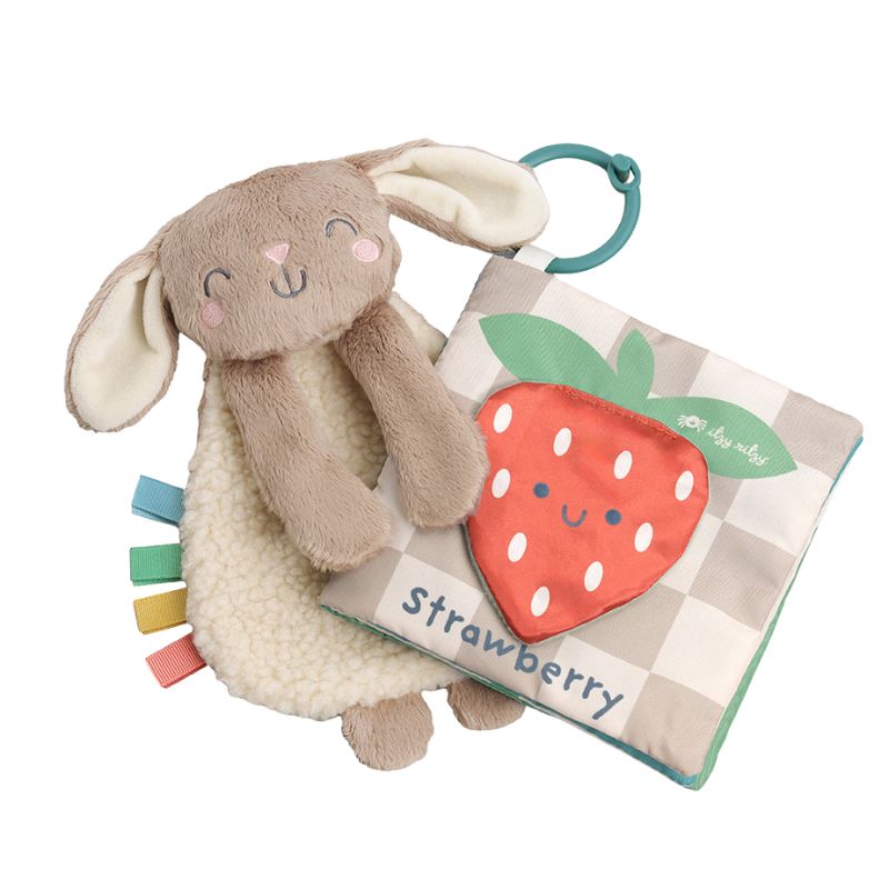 Itzy Learn & Snuggle Gift Set