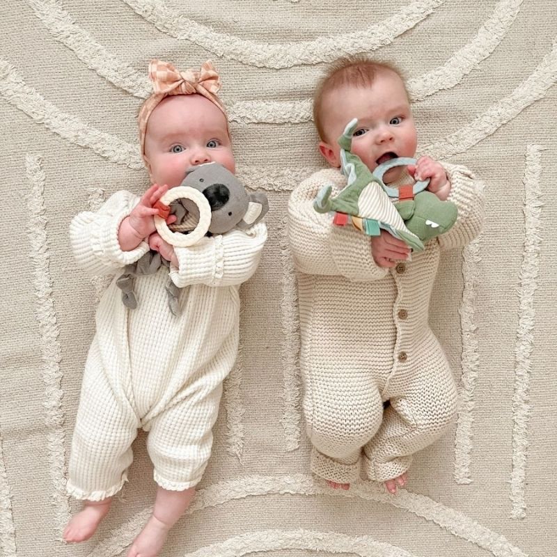 Sensory Crinkle Toy and Teether Dino