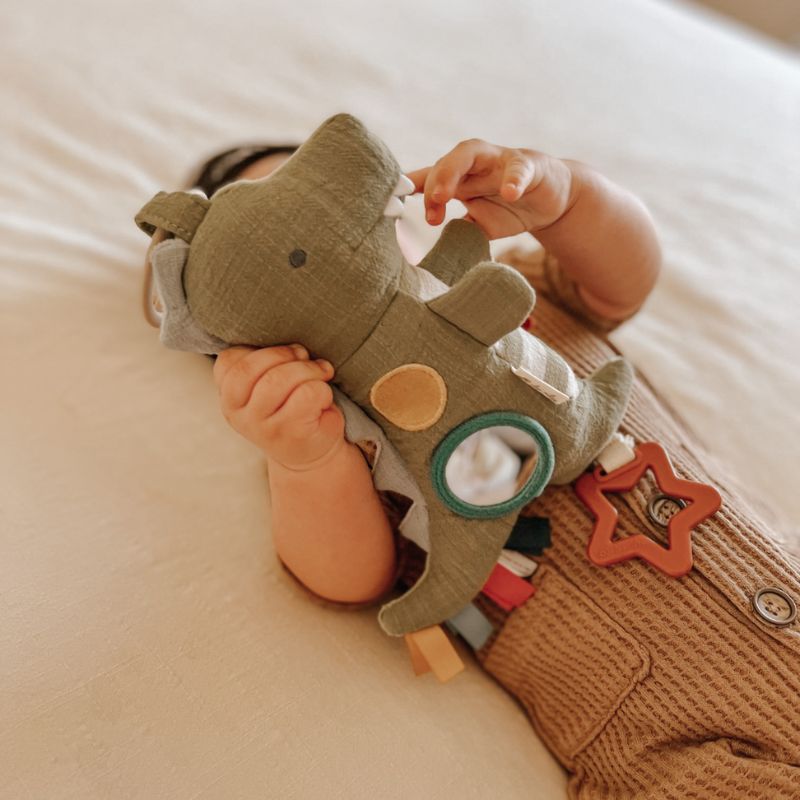 Bitzy Traveler Developmental Sensory Toy