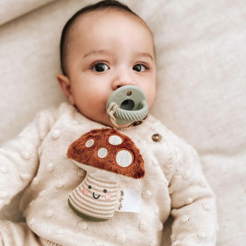 Sweetie Pal - Pacifier & Stuffed Animal | Snuggle Bugz | Canada's Baby ...