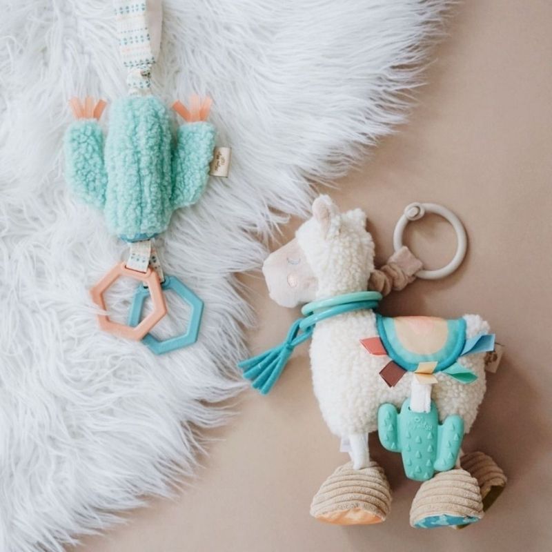 Ritzy Jingle Toys Cactus