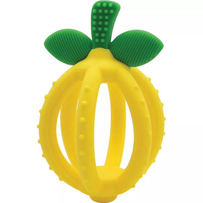 Bitzy Biter Teething Ball & Training Toothbrush