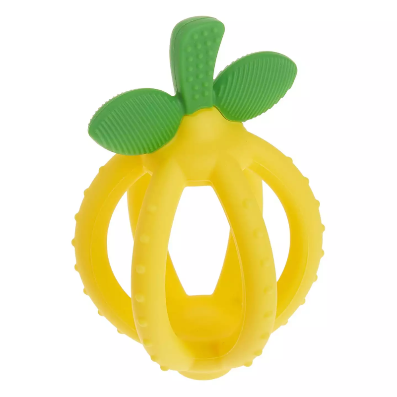 Bitzy Biter Teething Ball & Training Toothbrush