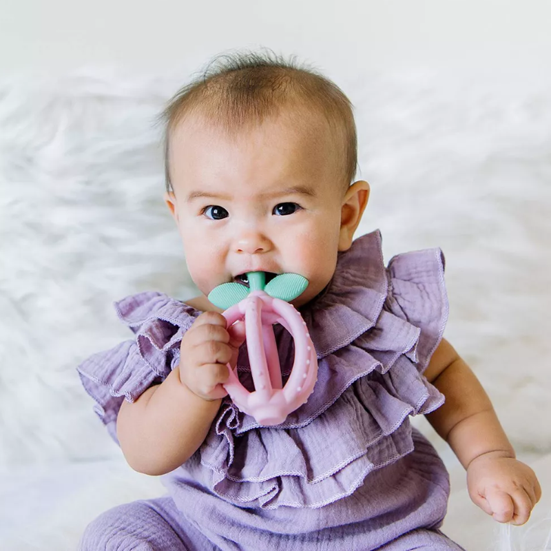 Bitzy Biter Teething Ball & Training Toothbrush