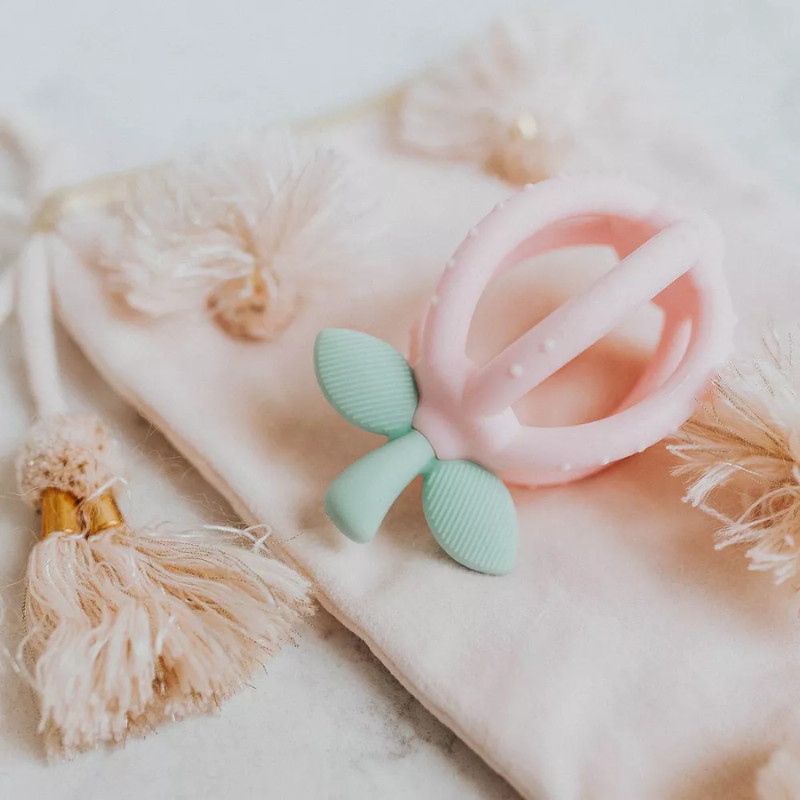 Bitzy Biter Teething Ball & Training Toothbrush