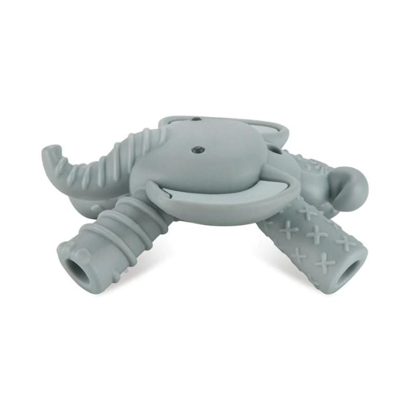 Ritzy Molar Teether