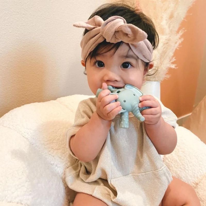 Anneau de dentition molaire chic