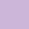 Purple Daisy